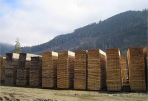 Les origines de votre abri : le séchage du bois